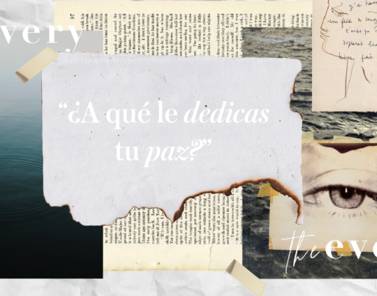 ¿A qué le dedicas tu paz ?